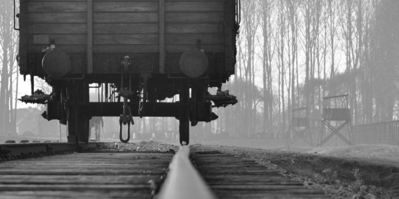 Auschwitz-Birkenau, 2011. Photo : MaximilienM 