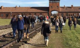 Le Train de la Mémoire, un voyage hors du commun