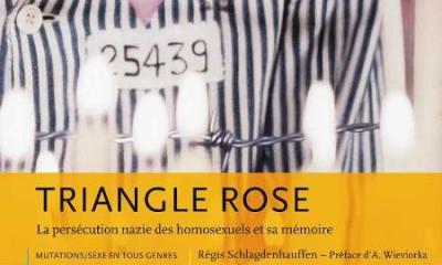 Triangle rose. La persécution nazie des homosexuels et sa mémoire - Régis Schlagdenhauffen