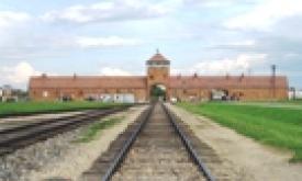 Une délégation de l'UEJF et des étudiants iraniens sur les traces de la Shoah en Pologne