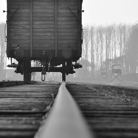 Wagon