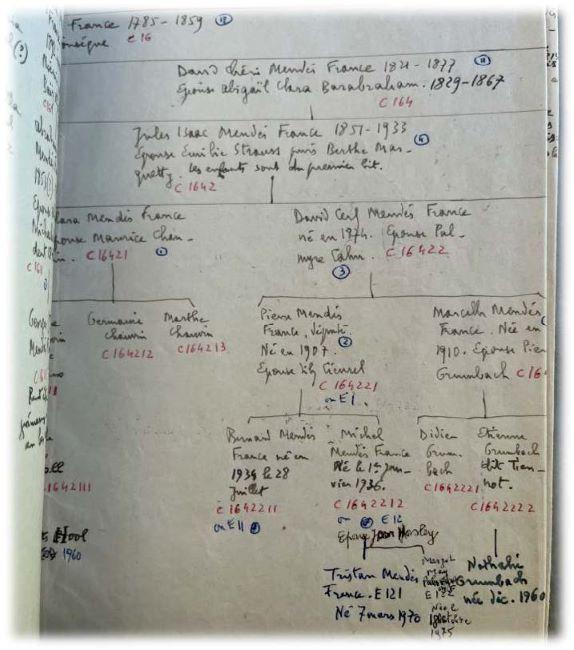Un extrait de l'arbre généalogique établi par Pierre Mendès France lui-même. © Archives privées.