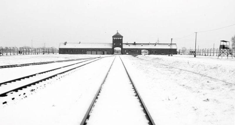 Journée internationale à la mémoire des victimes de la Shoah