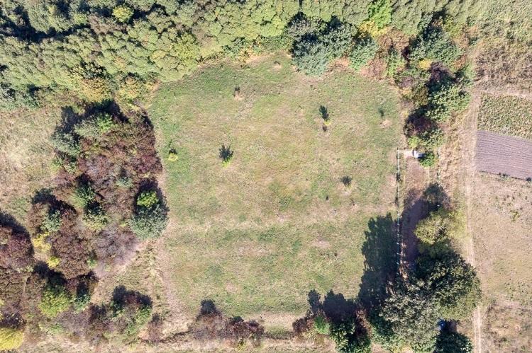 Pykiv, Ukraine : le 30 mai 1942, au moins 960 Juifs furent tués à cet emplacement - crédit : Yahad In Unum 