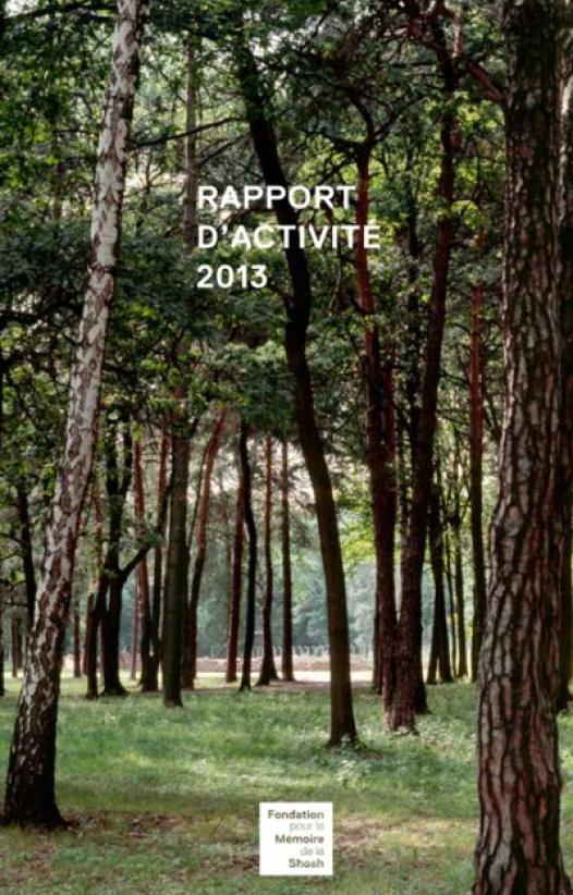 Rapport d'activité 2013