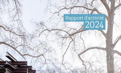 #En ligne : Rapport d'activité 2024
