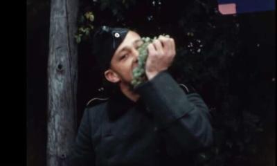 #Documentaire : Les raisins du Reich d'Antoine Dreyfus et Jean-Christophe Klotz