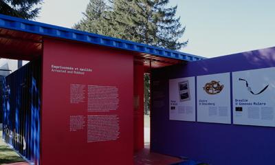 #Exposition : #StolenMemory des archives Arolsen au camp de Natzweiler-Struthof (Bas-Rhin, 67)