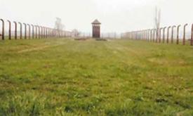 Sonderkommando, Auschwitz-Birkenau - Emil Weiss