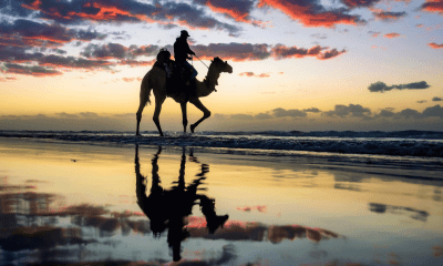 #Concert : "Israël / Palestine mandataire - une musique en commun"