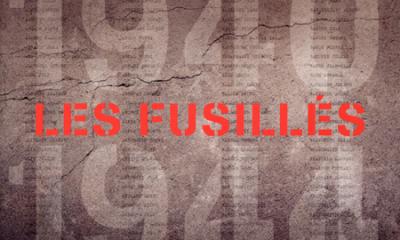 Les Fusillés : 1940-1944 - Un dictionnaire biographique de Cl. Pennetier, J-P. Besse, Th. Pouty et D. Leneveu