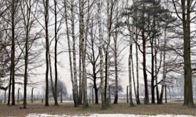 Auschwitz, après l’ère des témoins