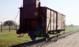 La Mémoire d’Auschwitz - Manfred van Eijk