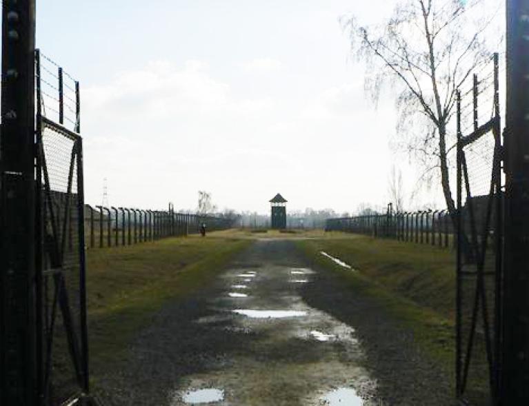#Commémoration : Journée internationale à la mémoire des victimes de la Shoah - 2026